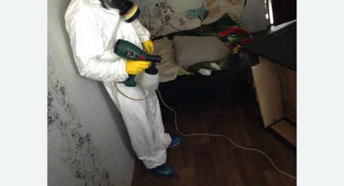 Обработка квартир от насекомых в Майкопе