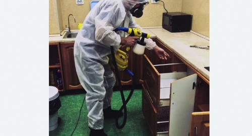 Дезинсекция квартиры. Майкоп