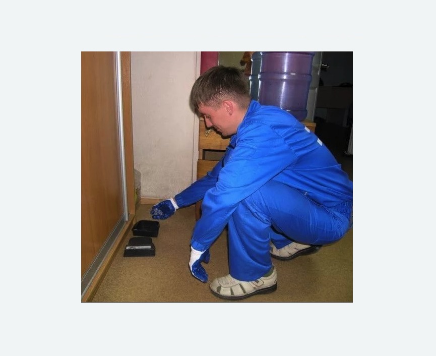 Дератизация крыс в Майкопе