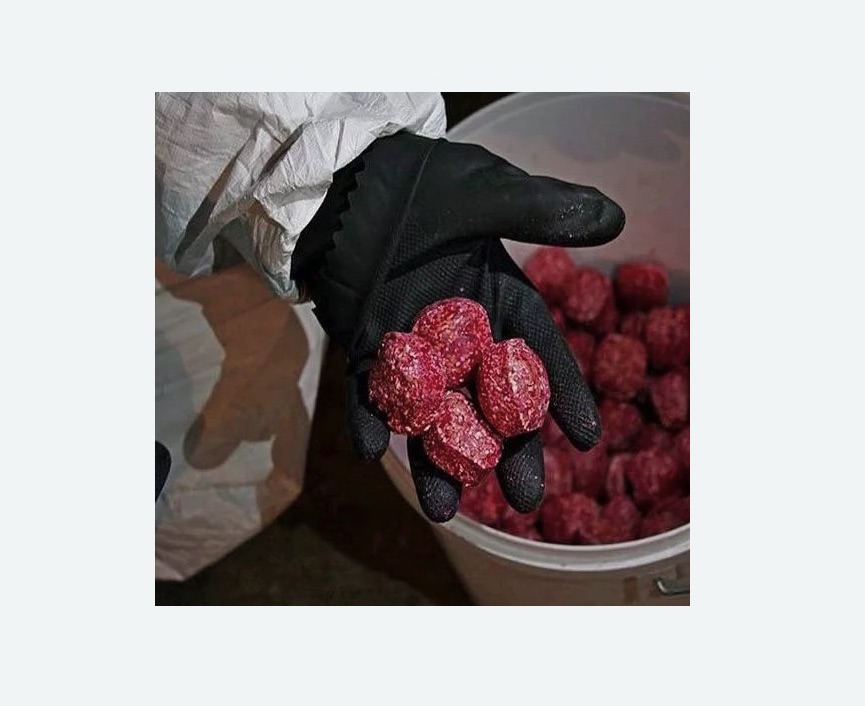 Обработка от крыс в Майкопе