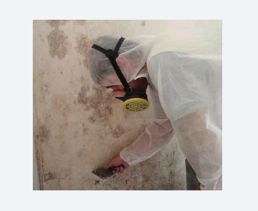 Обработка стен от плесени в Майкопе