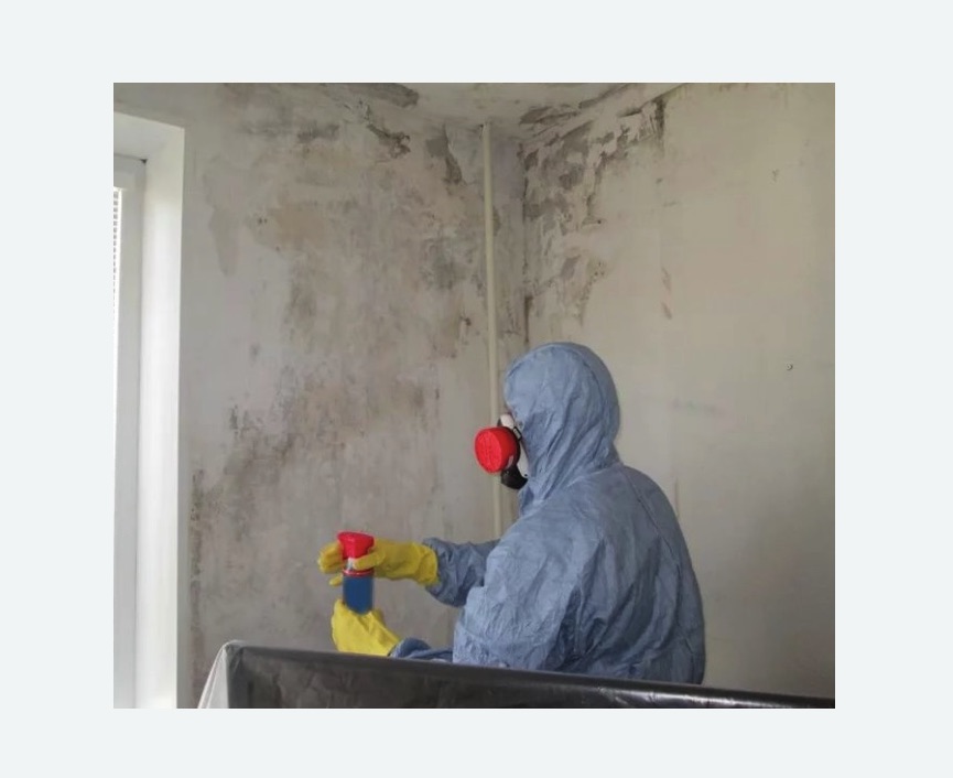 Удаление плесени в квартире в Майкопе