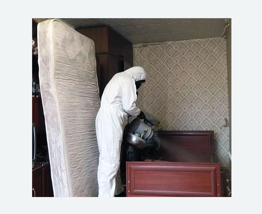 дезинфекция от клопов в Майкопе