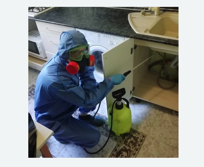 обработка от муравьев в квартире в Майкопе