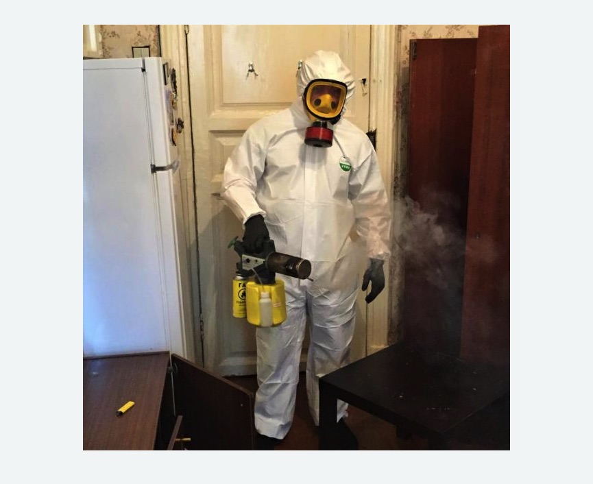 уничтожение муравьев в квартире в Майкопе